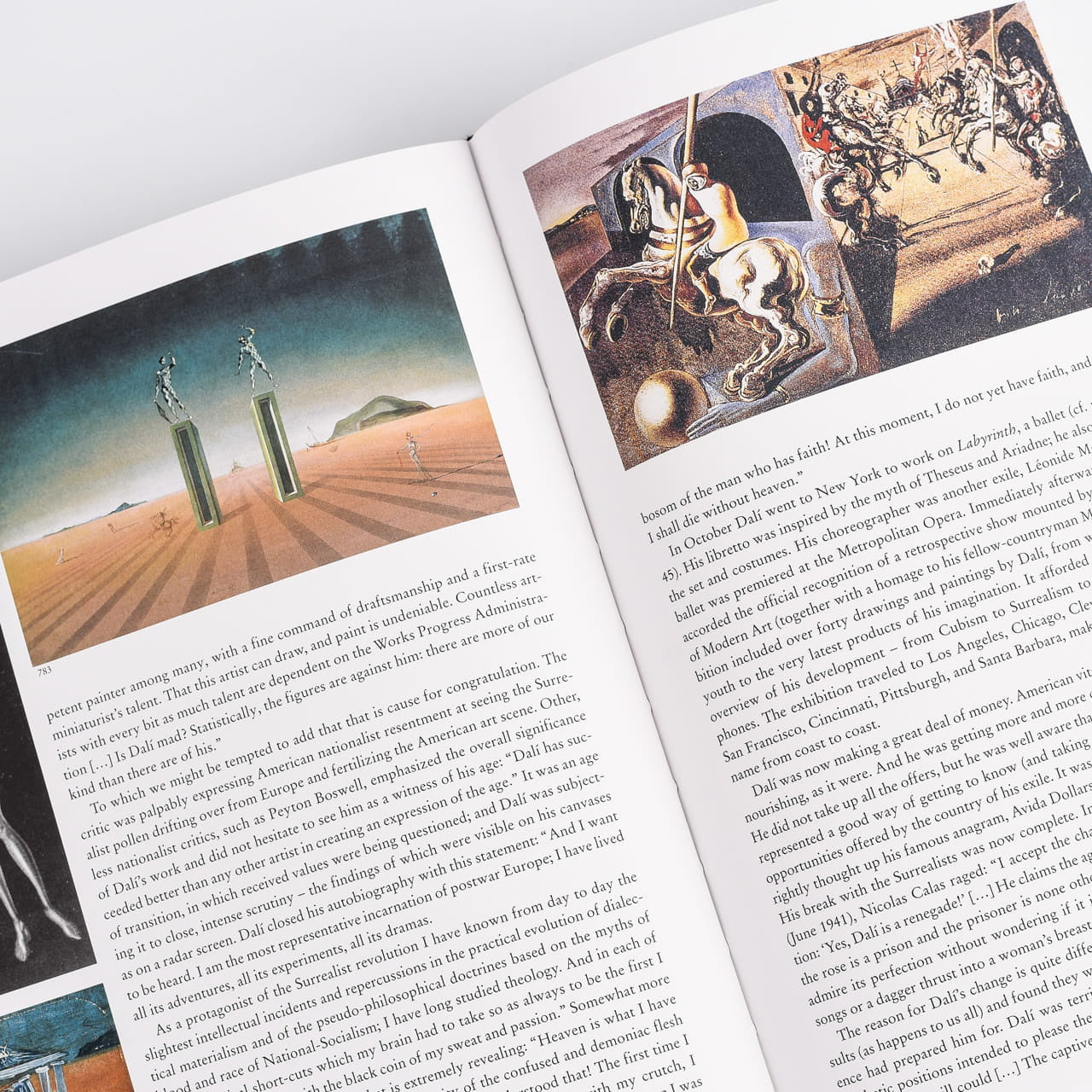 Salvador Dali książka na prezent The Paintings książka dali salvador dali książka prezent dla malarza