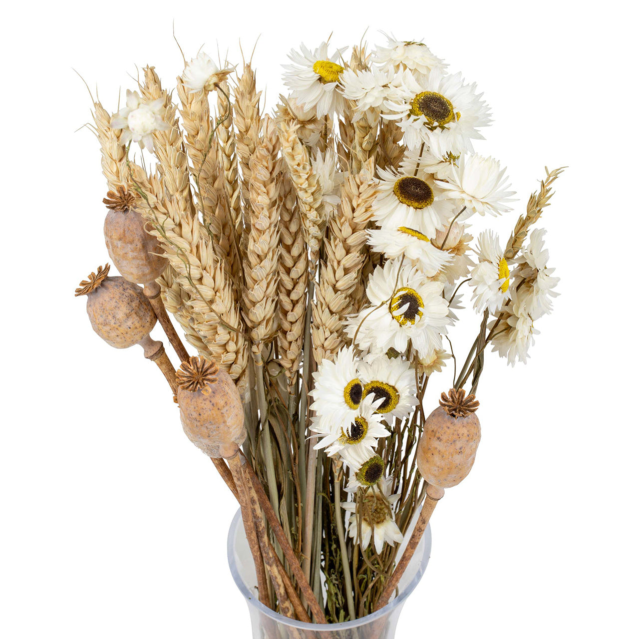 Flori de câmp uscate