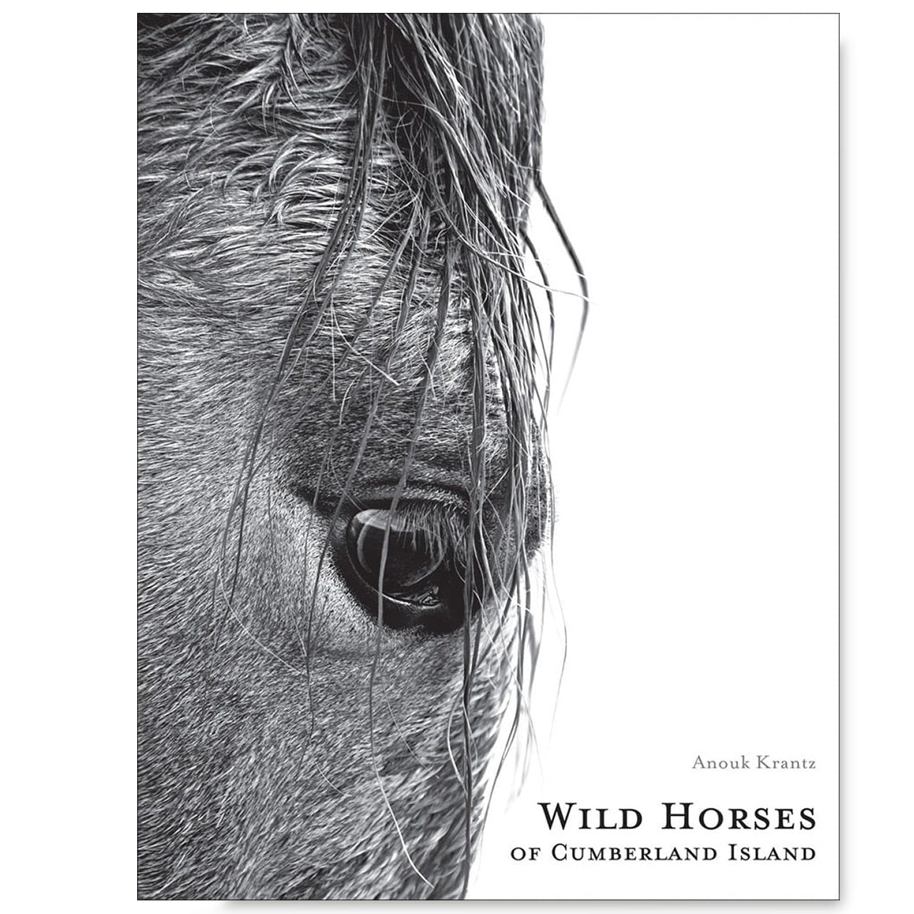 Książka o koniach Wild Horses prezent dla miłośnika koni prezent dla koniary