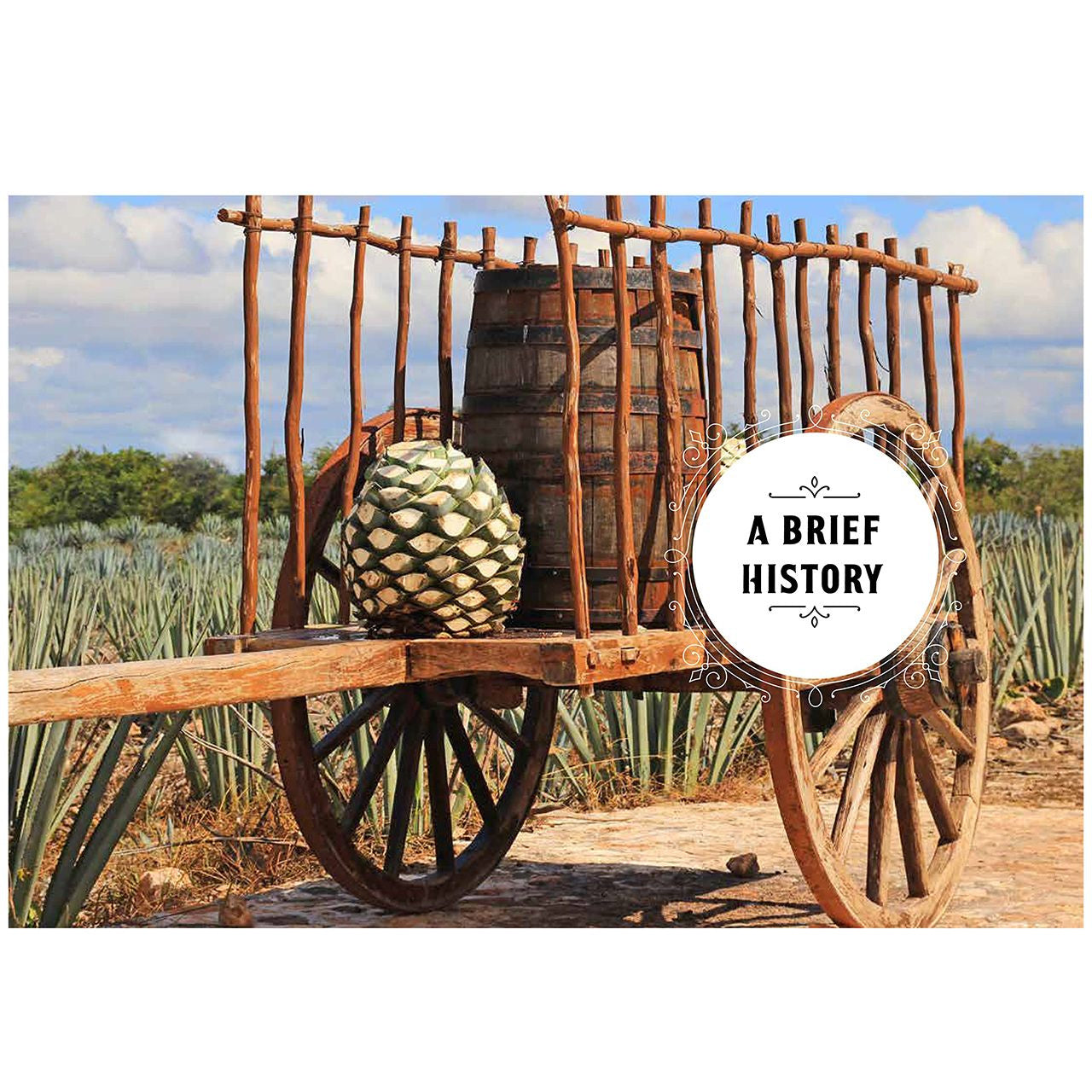 Książka dla barmana Enjoying Tequila książka na prezent