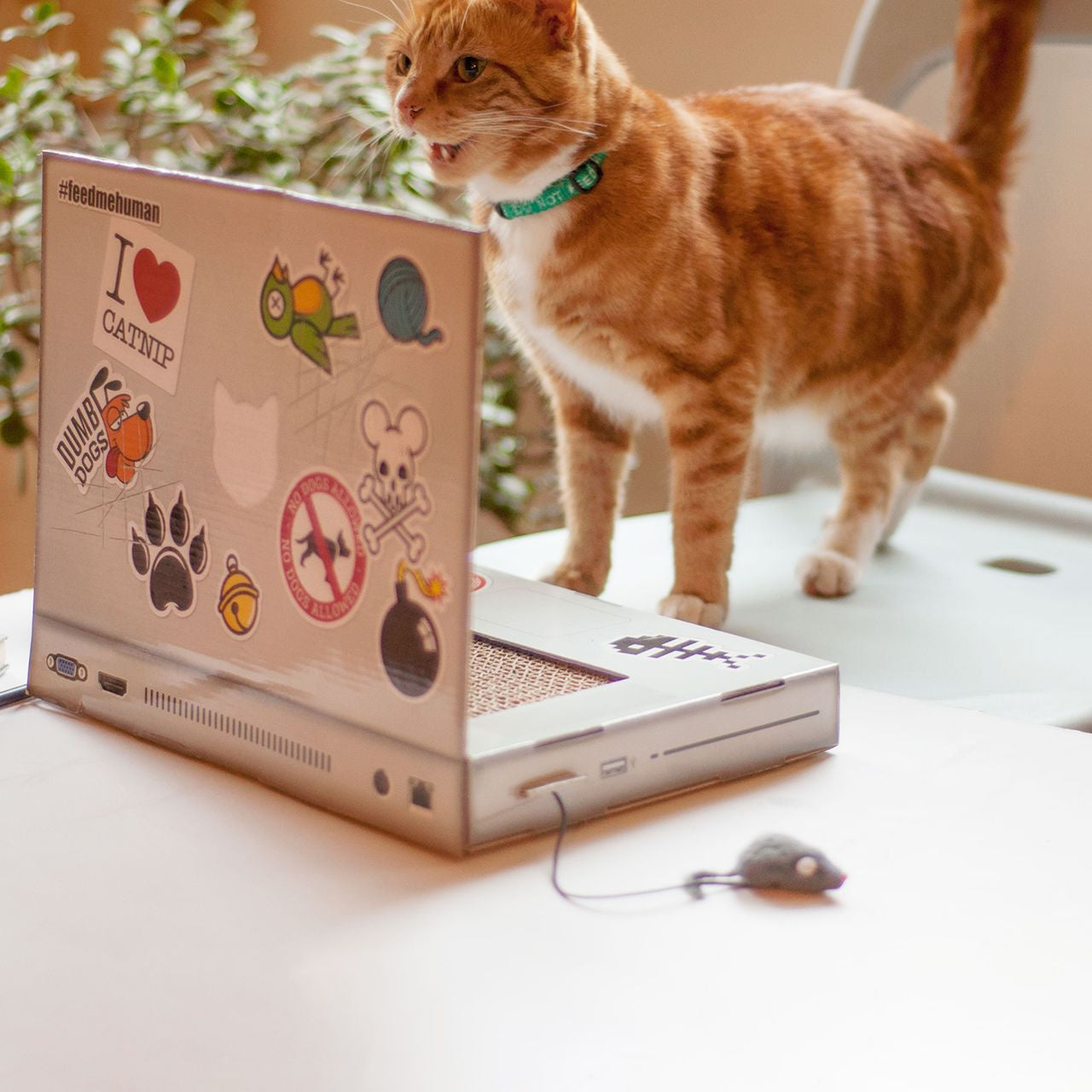 Jucărie din carton pentru pisici - Laptop