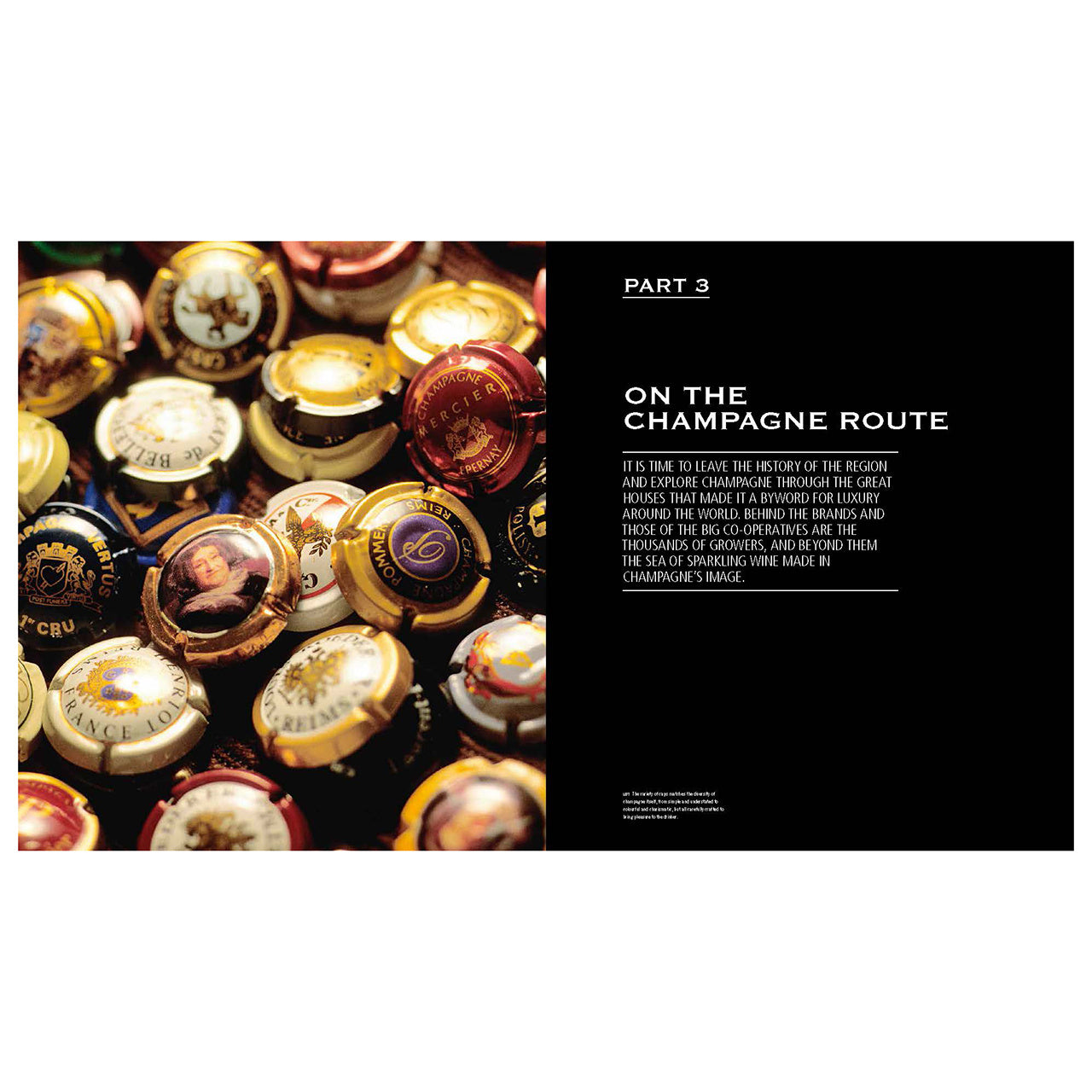 Carte Wine of Kings and the King of Wines – pentru iubitorii de vinuri