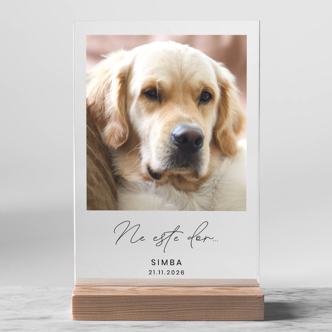 Statuetă cu fotografie – amintire de la câine
