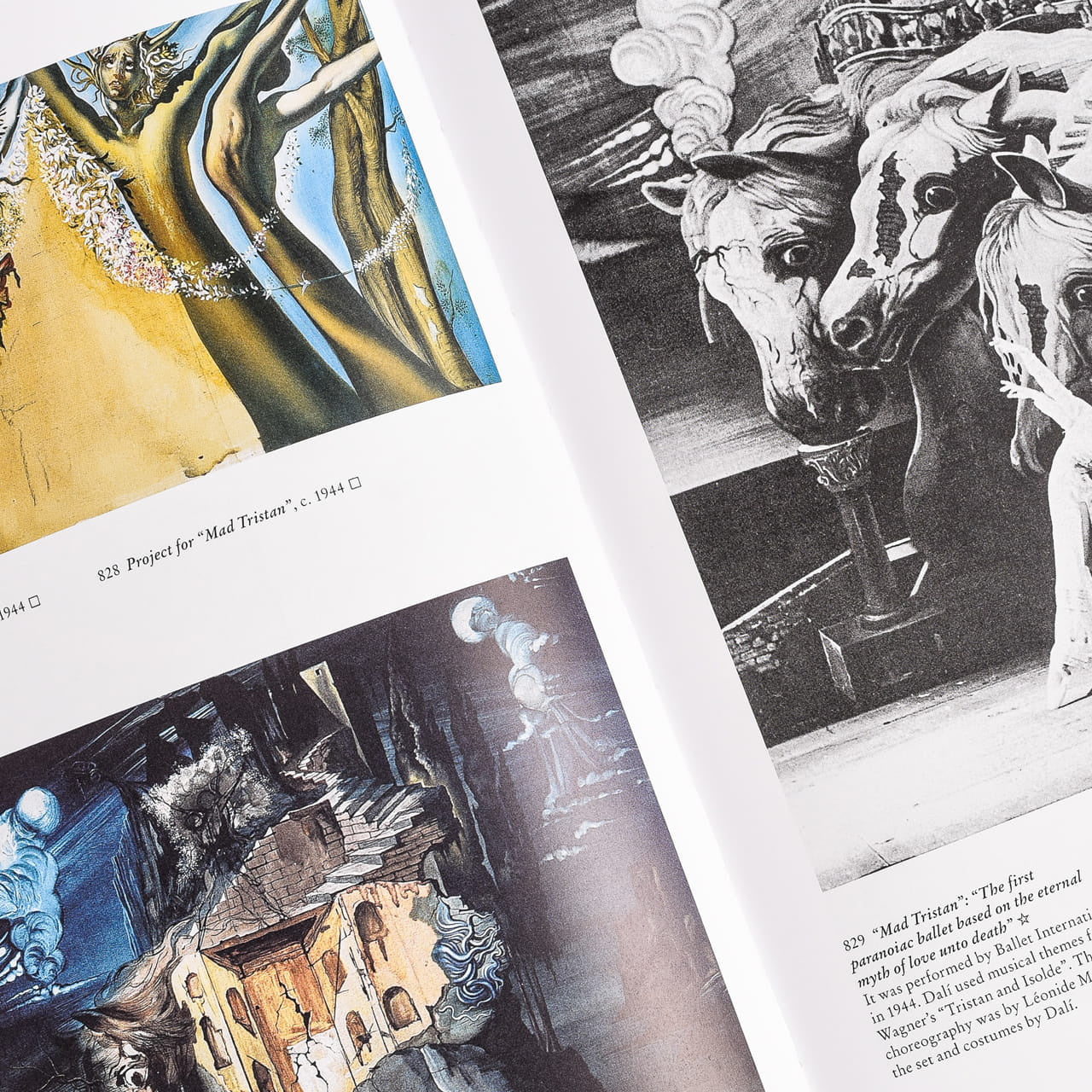 Salvador Dali książka na prezent The Paintings książka dali salvador dali książka prezent dla malarza