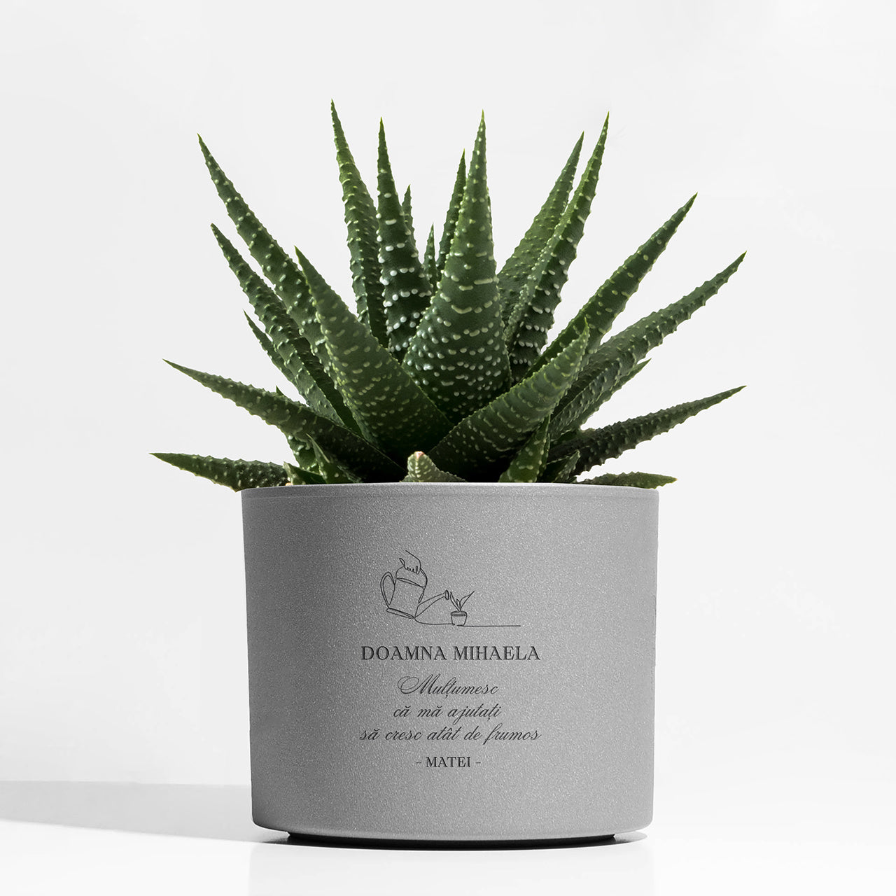 Ghiveci gravat - cadou pentru profesoară