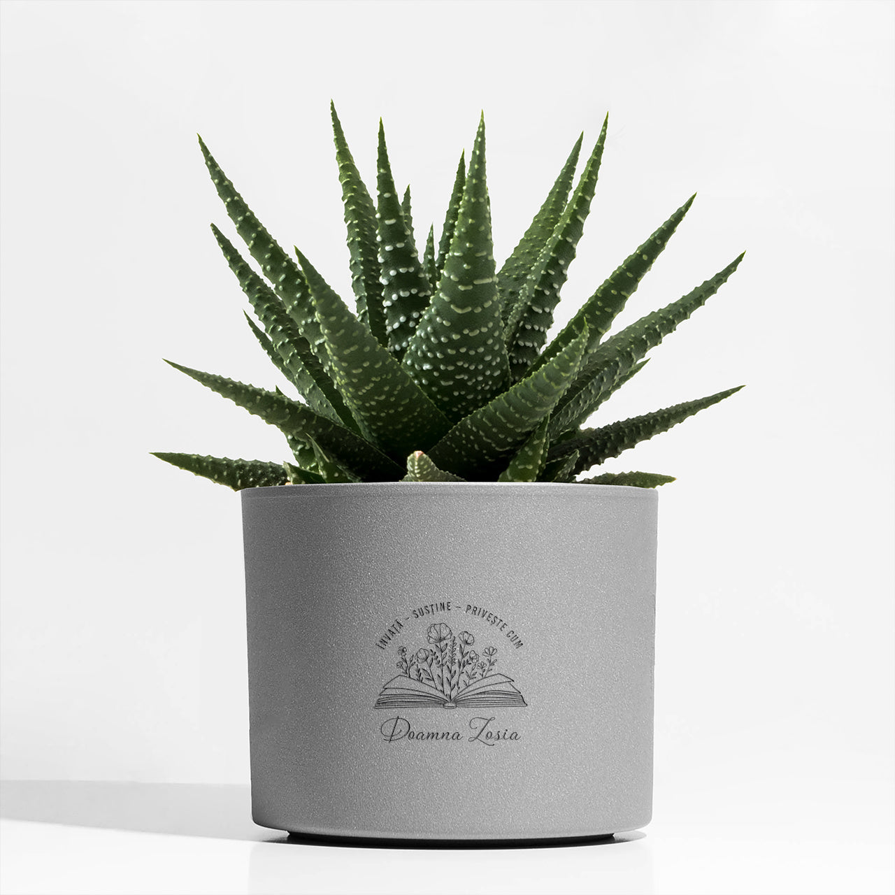 Ghiveci gravat pentru Ziua Profesorului