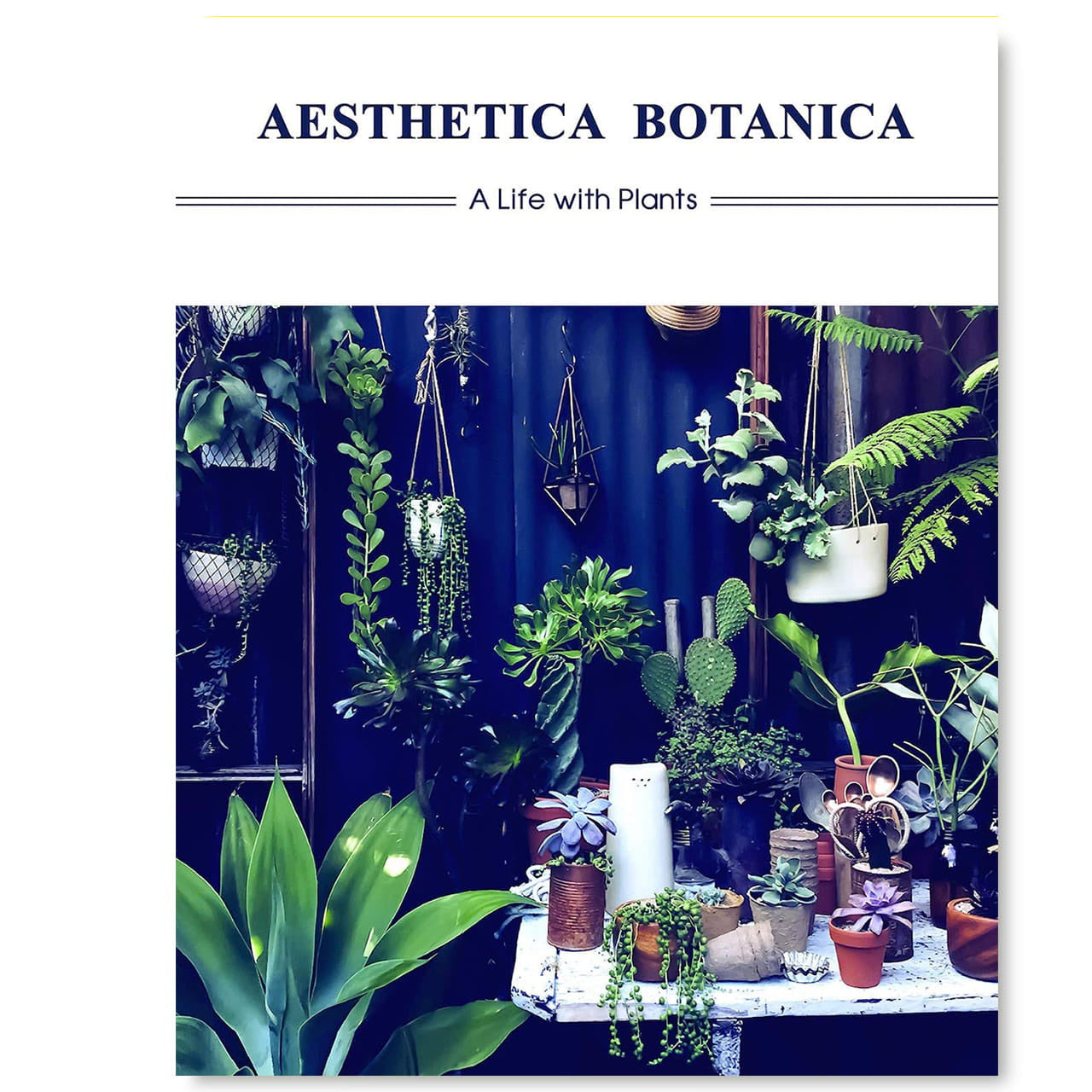 Książka o roślinach Aesthetica Botanica: A life with Plants prezent dla miłośników kwiatów 