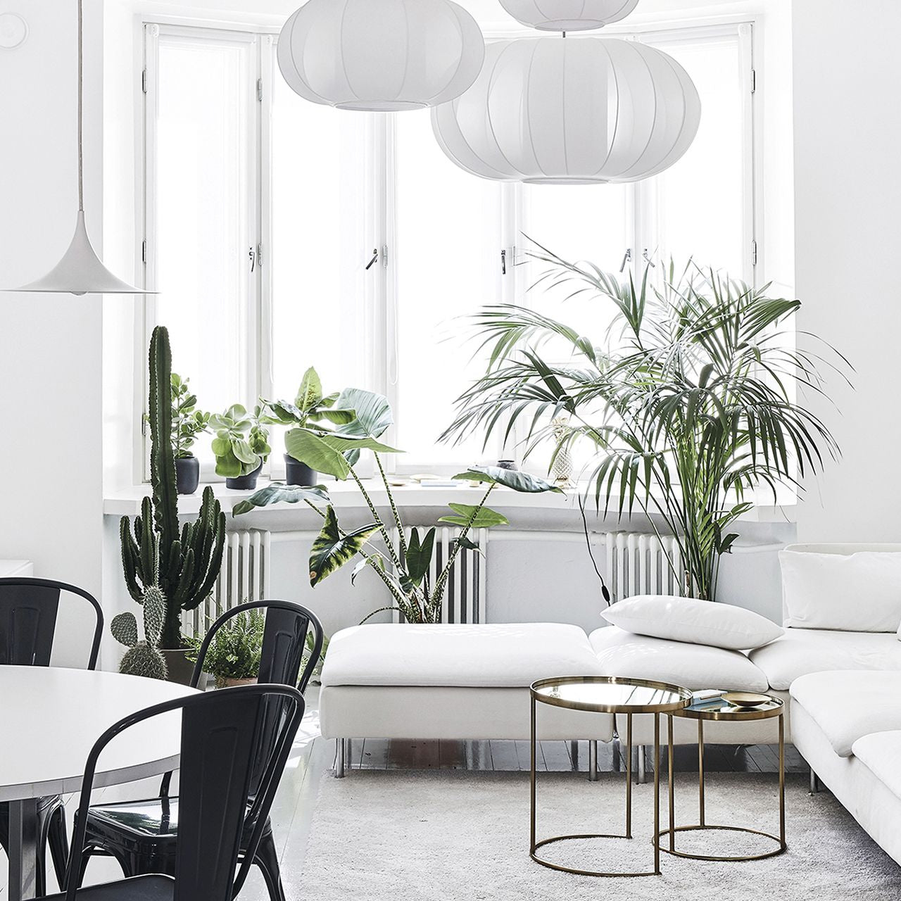 Książka o roślinach domowych Green Home Book prezent dla rośliniary książka o kwiatach prezent dla florystki