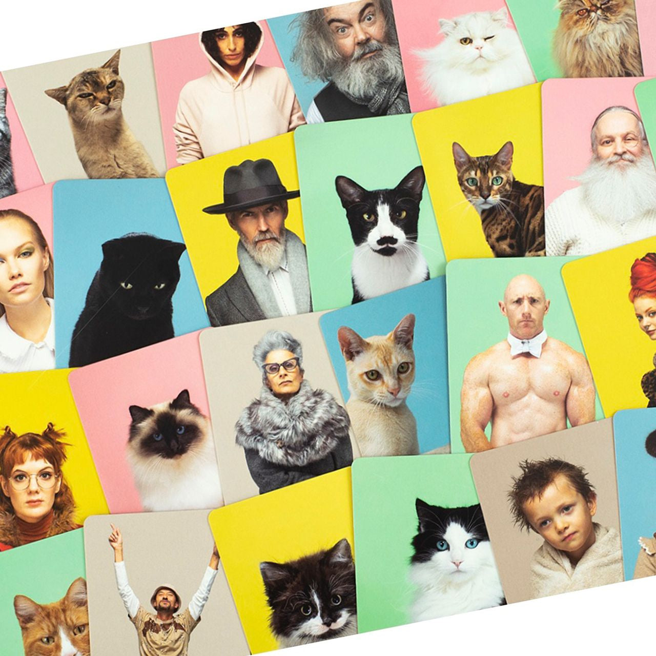 Gra memory Do you look like your cat? gra z kotami prezent dla kociary prezent dla kociarza 