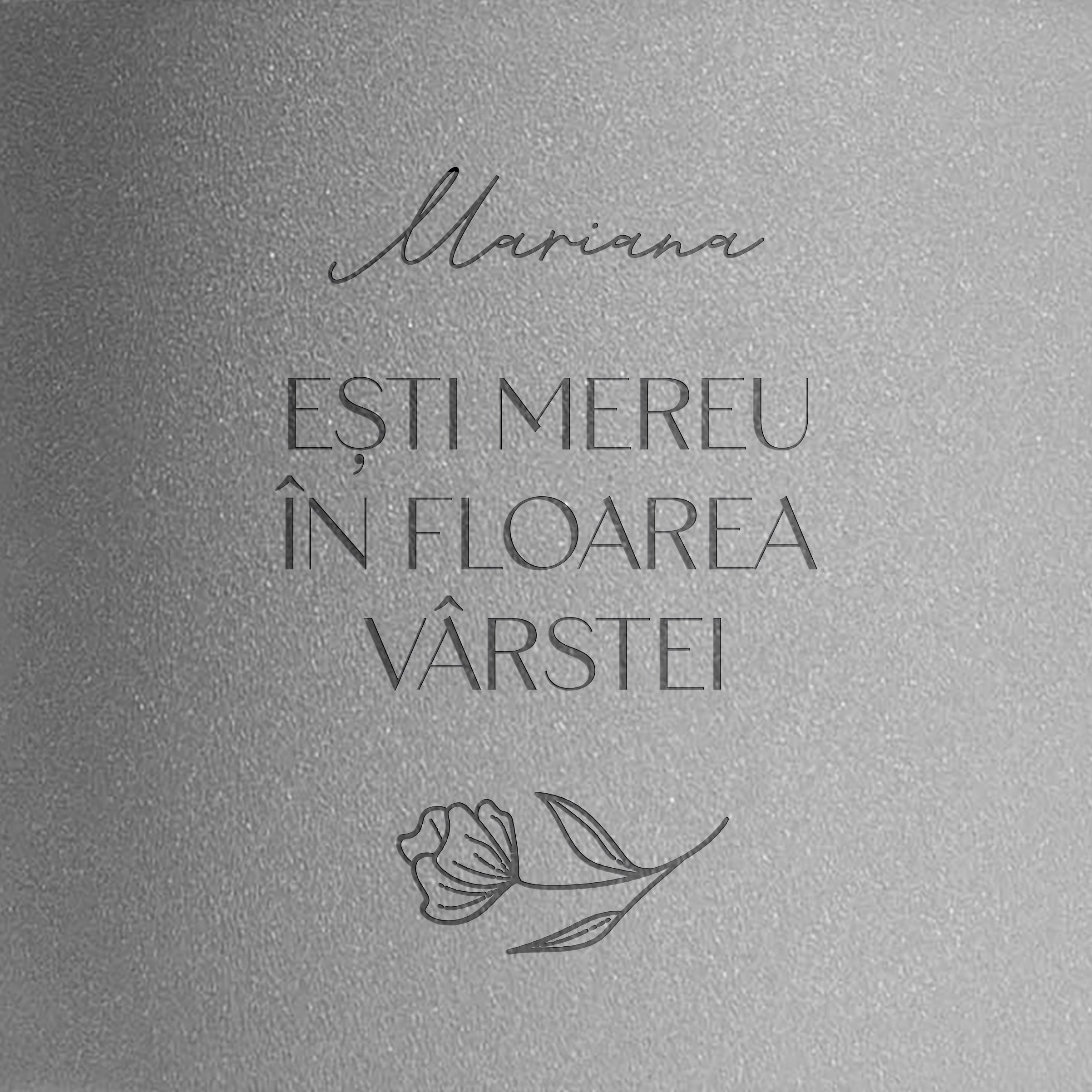 Ghiveci personalizat cu gravură – cadou pentru feme