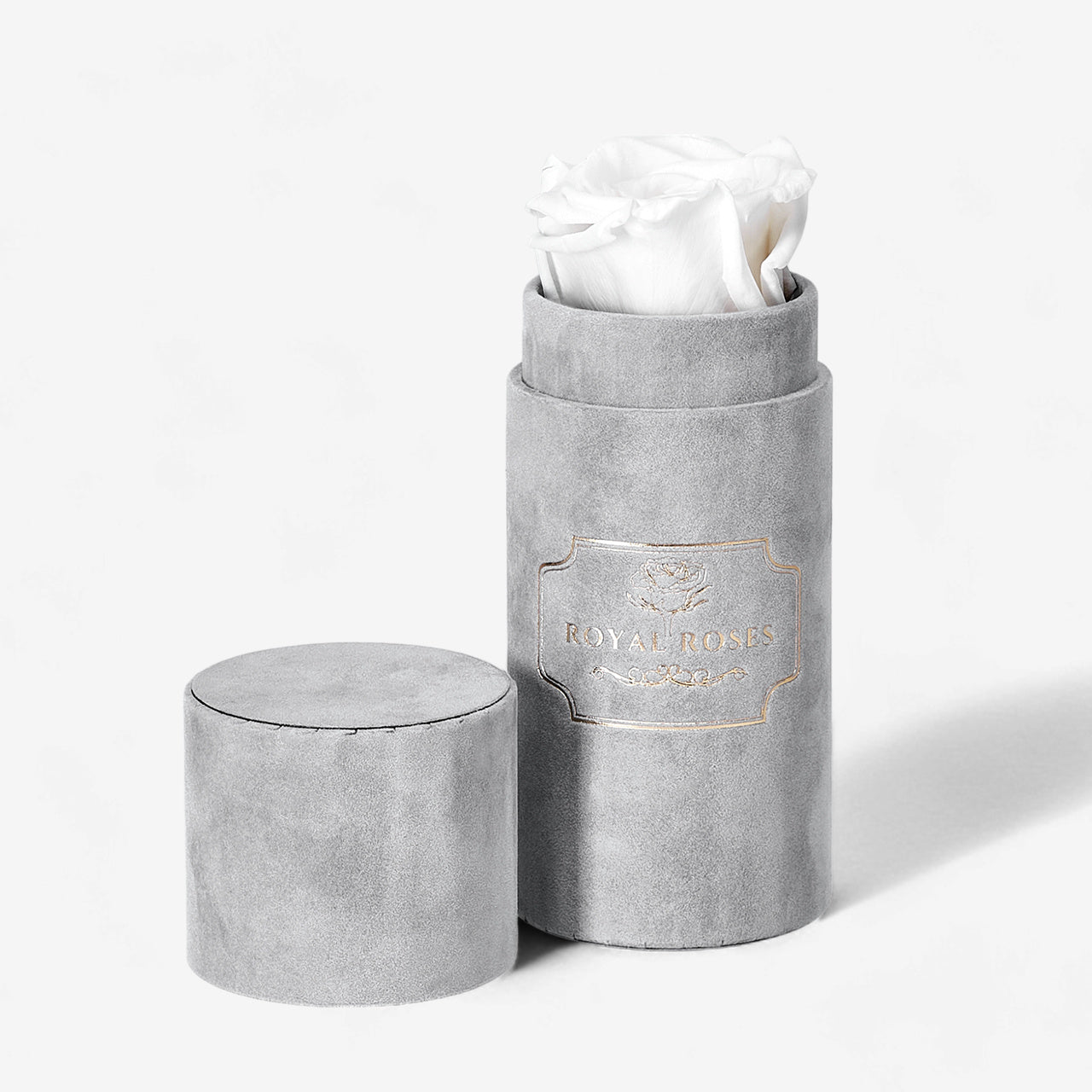 Wieczna róża w pudełku ROYAL ROSES biała wieczna róża na prezent