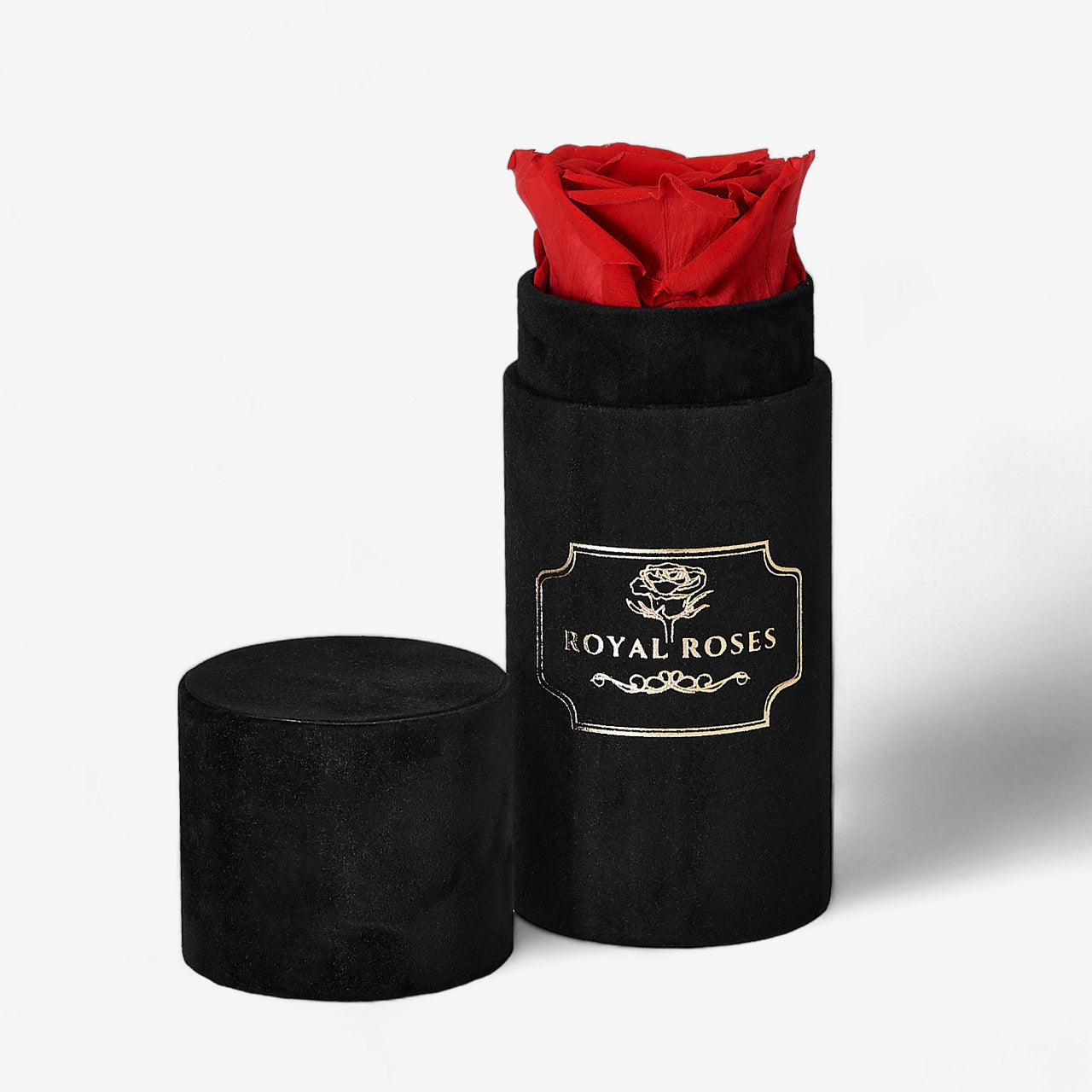 Cutie cu trandafir etern - mini flower box