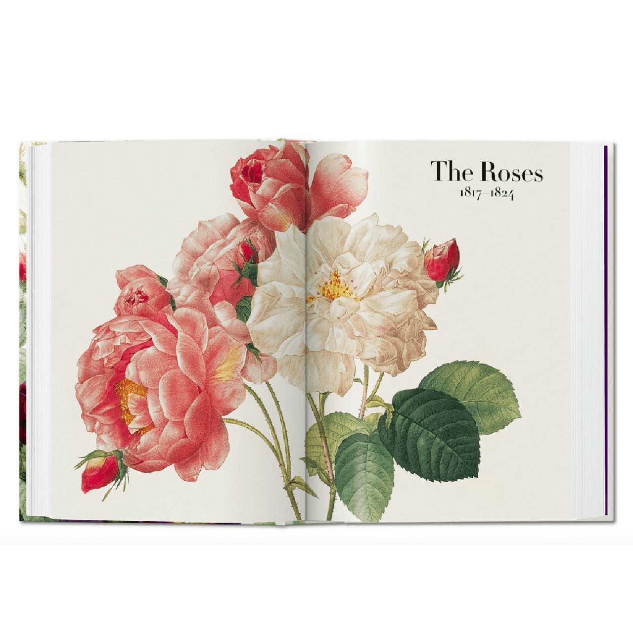 Carte The Book of Flowers - cadou pentru artistă
