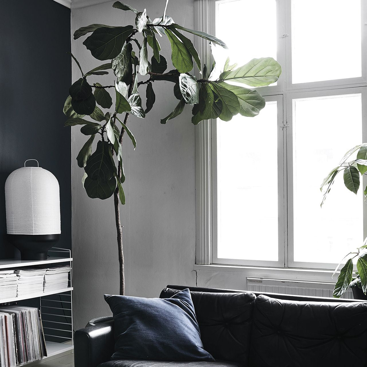 Książka o roślinach domowych Green Home Book prezent dla rośliniary książka o kwiatach prezent dla florystki