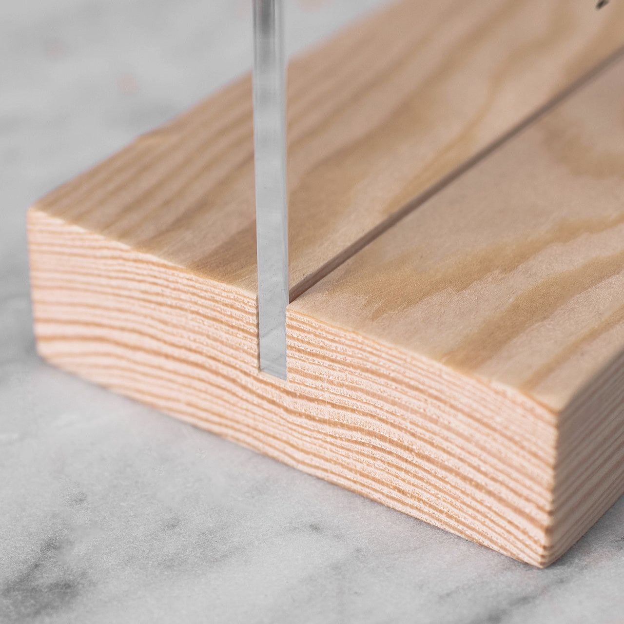 Statuetă cu fotografie – amintire de la câine