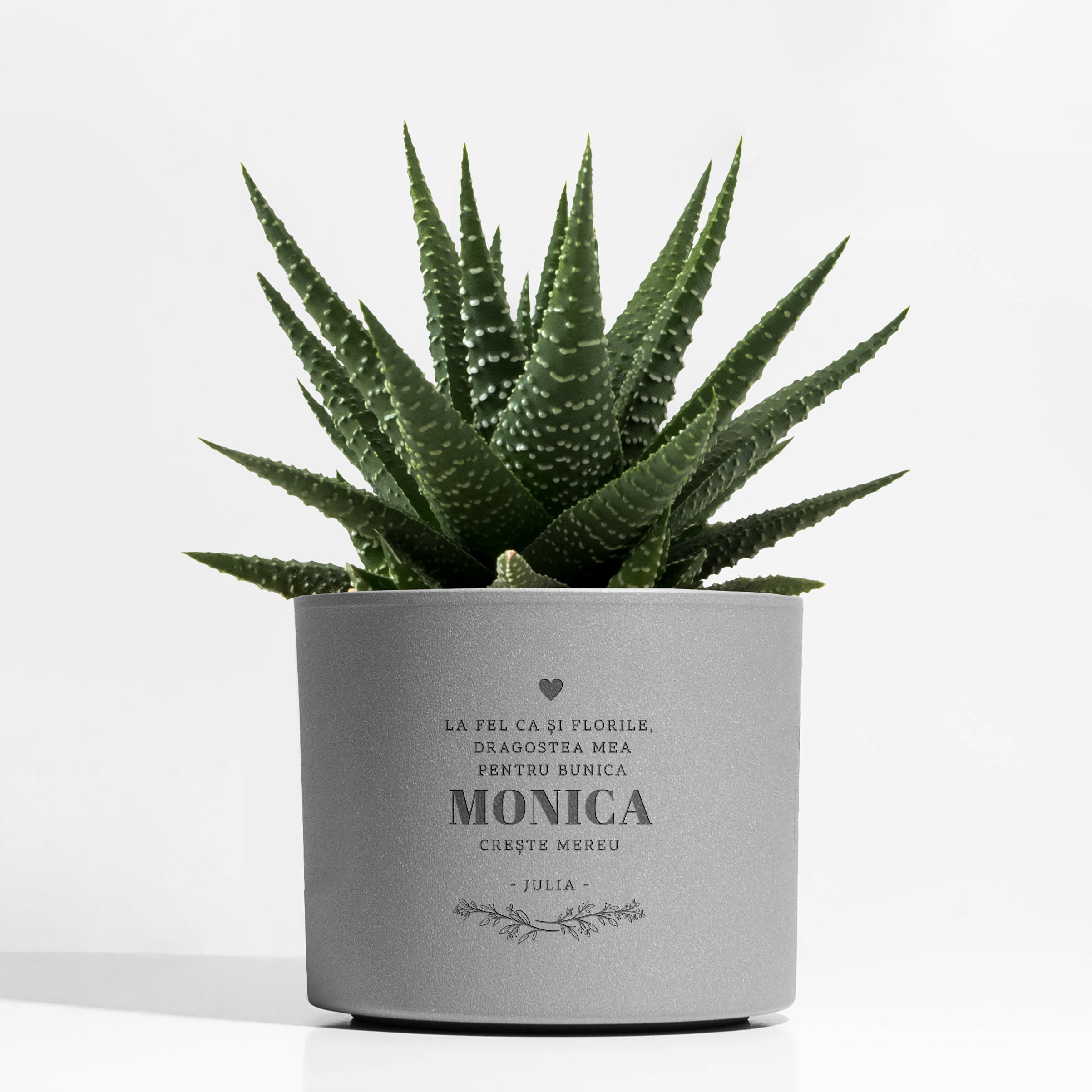 Doniczka na prezent dla Babci doniczka na Dzień Babci prezent na Dzień Babci prezent dla babci