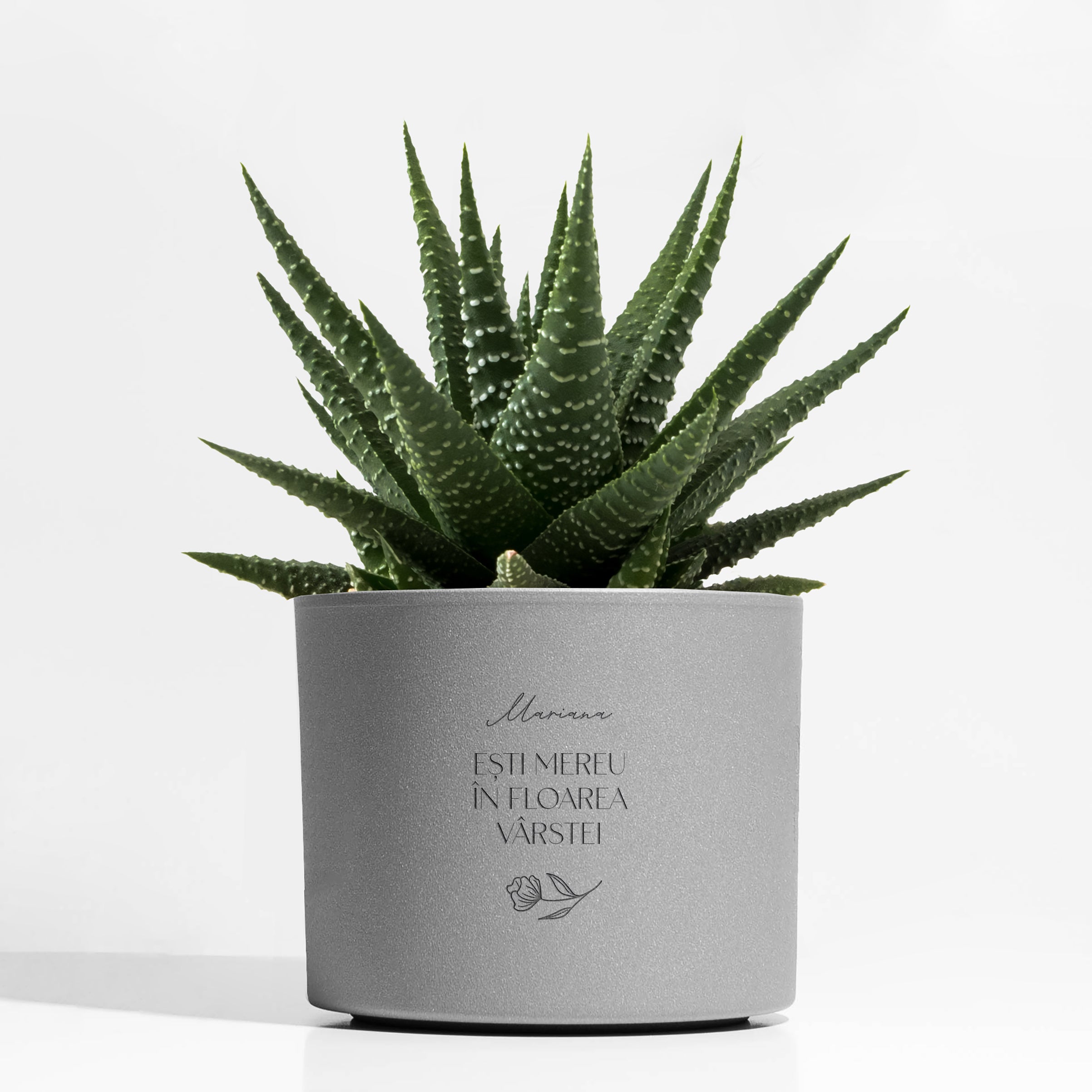 Ghiveci personalizat cu gravură – cadou pentru feme